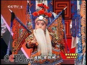 胡家齐明星,星光璀璨的演艺之路