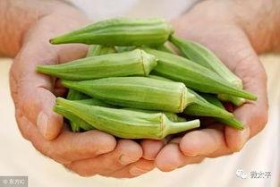 今日头条秋葵图片,营养丰富的绿色珍品，你了解多少？