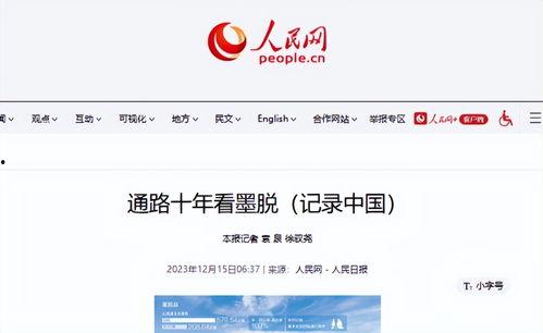 正城县新闻今日头条,聚焦城市发展新动态，共话民生福祉新篇章