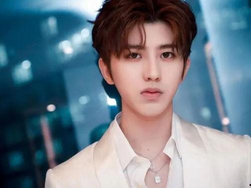 明星陈浩然图片,光影交织，演绎璀璨星途