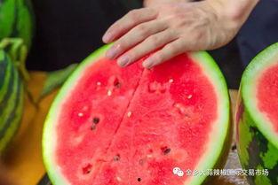 外国大学吃瓜榜,揭秘外国大学“吃瓜榜”