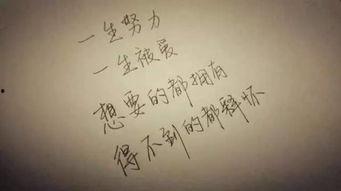 网红初二作文愿你,闪耀青春光芒