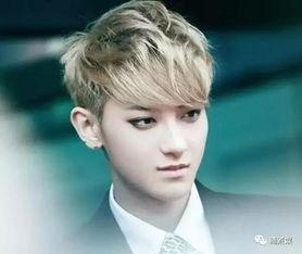 娱乐圈爆料侯明昊,揭秘明星背后的故事