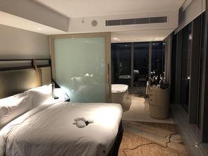 索菲特网红,揭秘酒店界的网红新宠