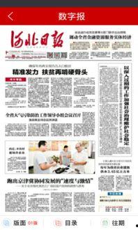 河北爆料新闻,揭开背后真相，聚焦社会热点事件