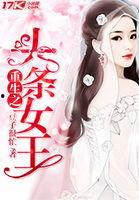 重生之头条女王免费阅读,头条女王归来