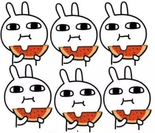 占星猫cuteli吃瓜,揭秘娱乐圈的神秘瓜田