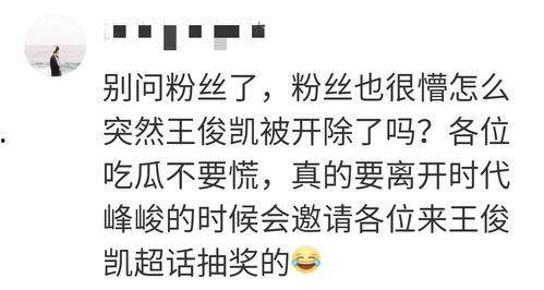 吃瓜最多的字,揭秘“吃瓜群众”的狂欢时刻