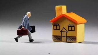 哈市房产大爆料最新消息,最新动态揭秘，房价走势与热门项目大盘点