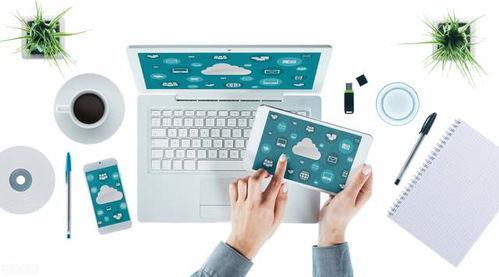 头条小店哪个平台最好用,揭秘哪个平台最易上手，助力电商新势力崛起！”