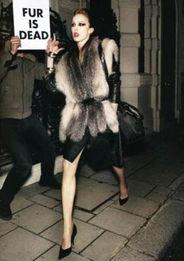 抵制皮草的明星,抵制运动中的明星力量