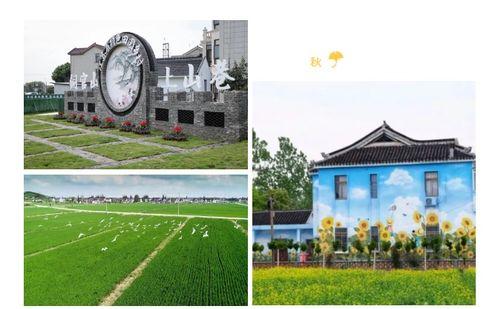 常熟网红静静是谁,揭秘网络红人的魅力与影响力