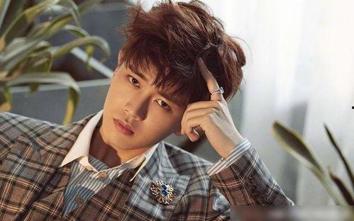 娱乐吃瓜酱任嘉伦,娱乐吃瓜酱的甜蜜瓜果之旅