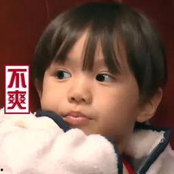 娱乐吃瓜君景甜,娱乐圈的甜蜜瓜果，甜蜜背后的故事