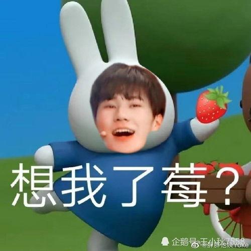 娱乐吃瓜酱男孩发表情包,趣味横生，笑点满满