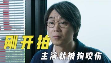 娱乐吃瓜君投票,最受欢迎明星榜单大揭秘!