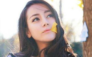 苏薇娱乐圈吃瓜系统小说,娱乐圈吃瓜系统，从幕后小透明到顶级流量女王