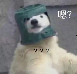 羊了羊娱乐吃瓜,揭秘娱乐圈吃瓜背后的真相