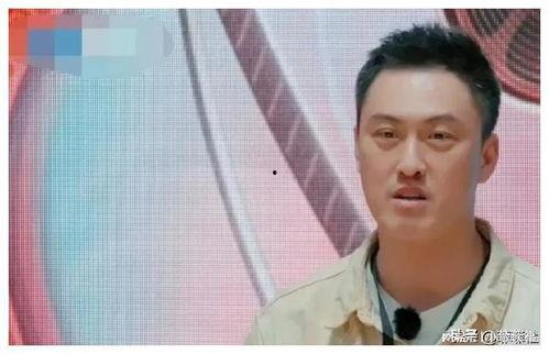 娱乐圈的吃瓜爆料是什么,揭秘明星背后的故事
